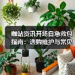 咖站资讯开场白急救包指南:选购维护与常见问题解析(图2) 咖站资讯开场白急救包指南:选购维护与常见问题解析(图2)